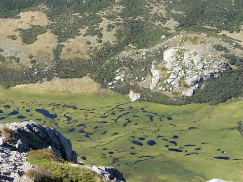 GR20 Sud montagne-attitude les pozzines