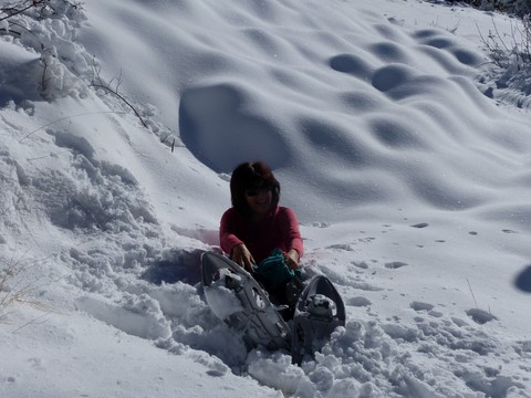 montagne-attitude raquettes en Ubaye4