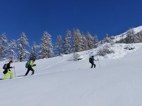 montagne-attitude raquettes et poudreuse